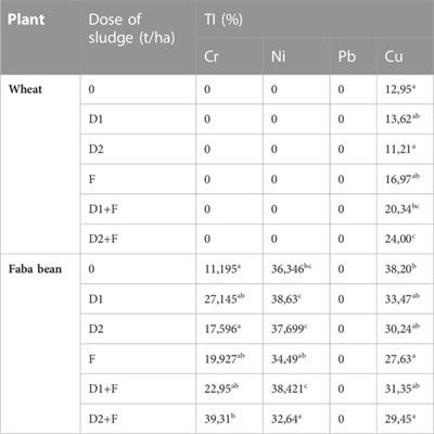 Assessment of the agronomic value of solar-dried sludge and heavy metals bioavailability based on the bioaccumulation factor and translocation index